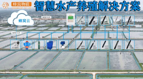 智慧水產(chǎn)養(yǎng)殖傳感器全面盤(pán)點(diǎn)與計(jì)算機(jī)網(wǎng)絡(luò)系統(tǒng)工程服務(wù)詳解